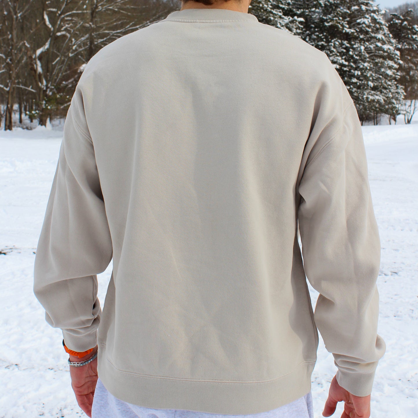 Person wearing a beige sweatshirt in a snowy landscape